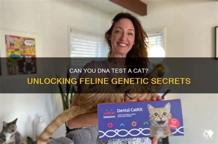 Can you DNA test a cat?