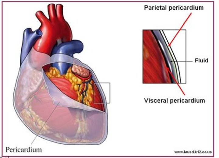 Can you feel pericardial rub?
