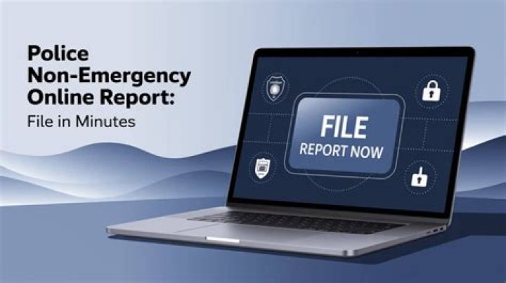 Can you file a police report online in Chicago?