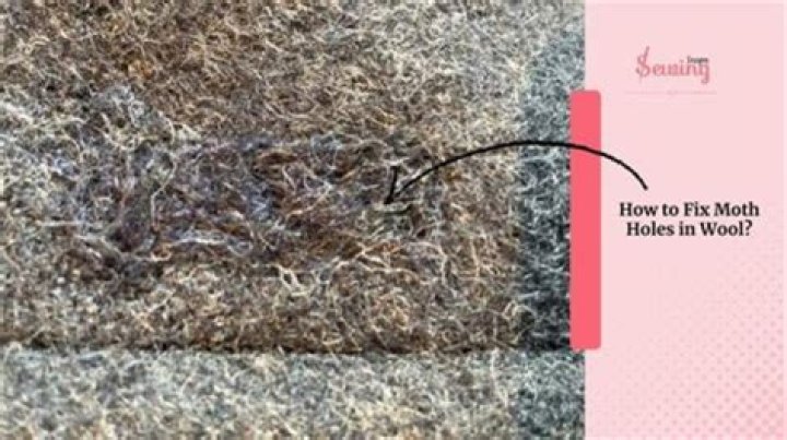 Can you fix moth holes?