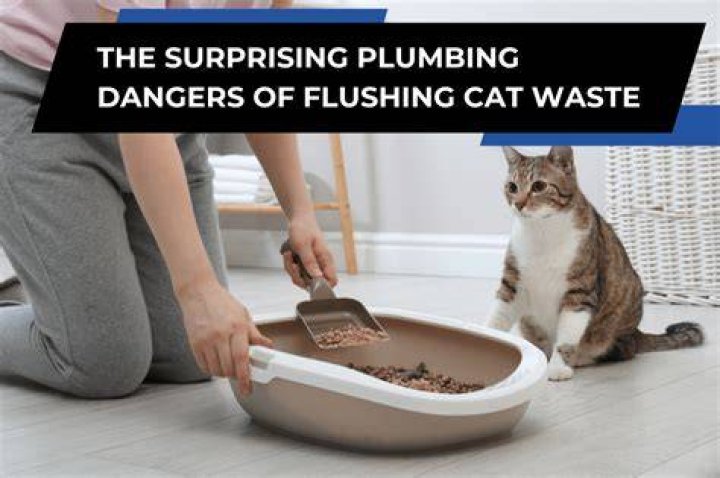 Can you flush cat poop down the toilet Australia?