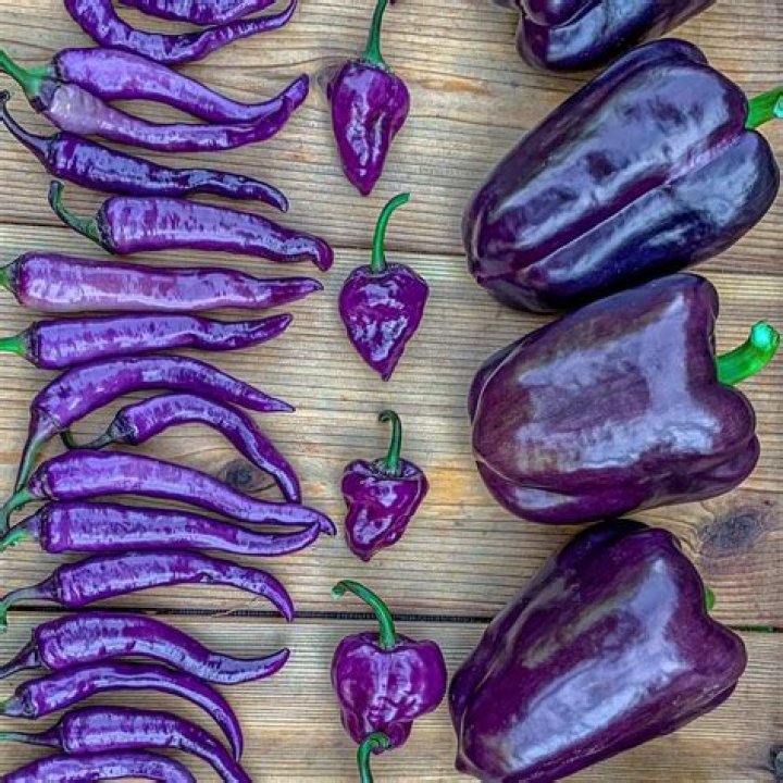 Can you get purple peppers?