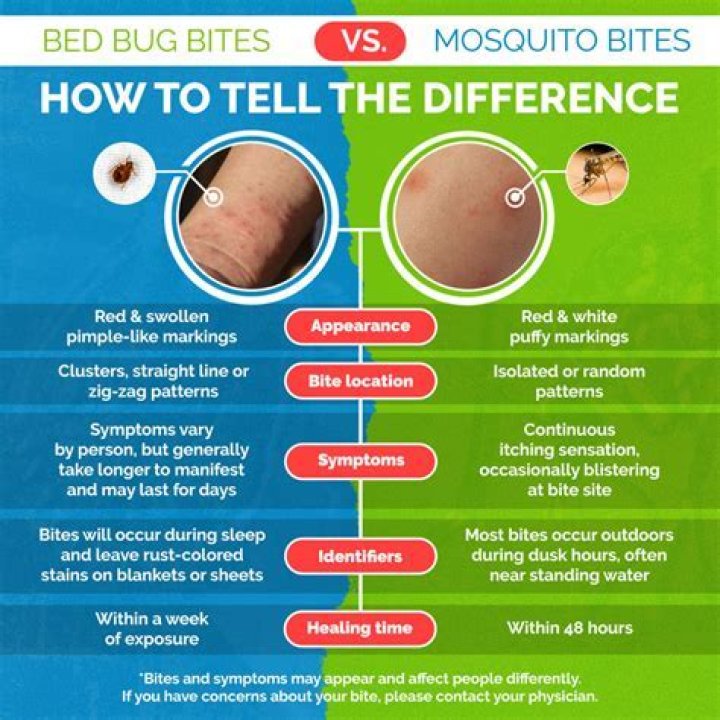 Can you get sick from flea bites?