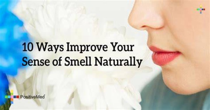 Can you improve your sense of smell?