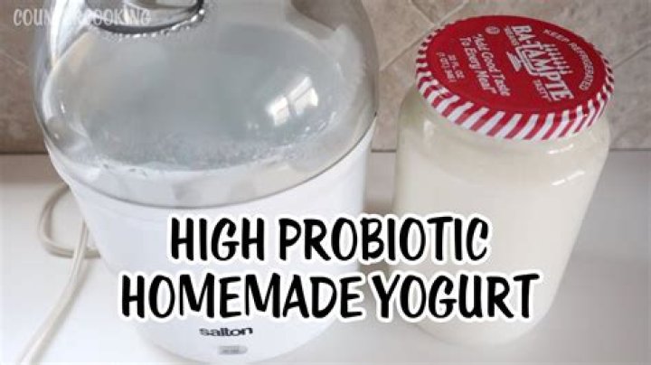 Can you make probiotic yogurt at home?
