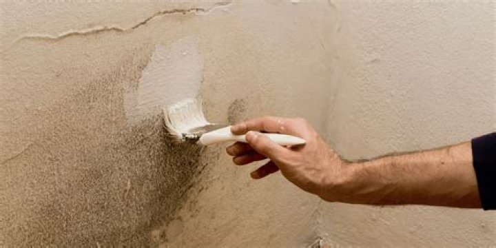 Can you paint a damp exterior wall?