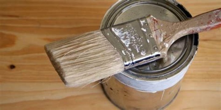 Can you paint birch?