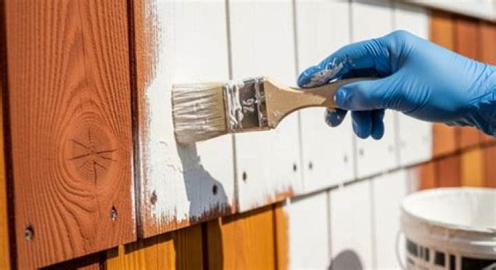 Can you paint cedar walls?