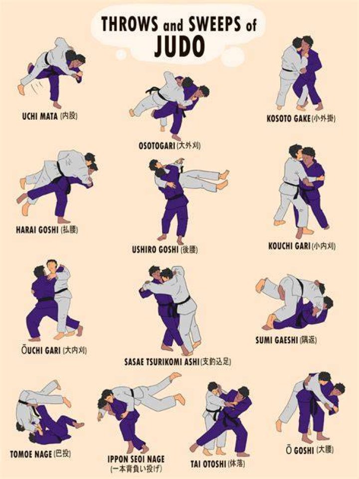 Can you punch in judo?