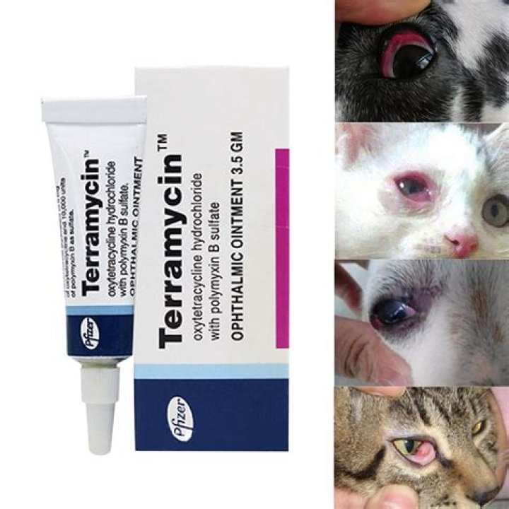 Can you put Terramycin in your eye?
