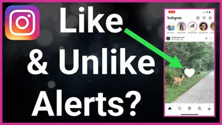 Can you see if someone unliked your photo on Instagram?