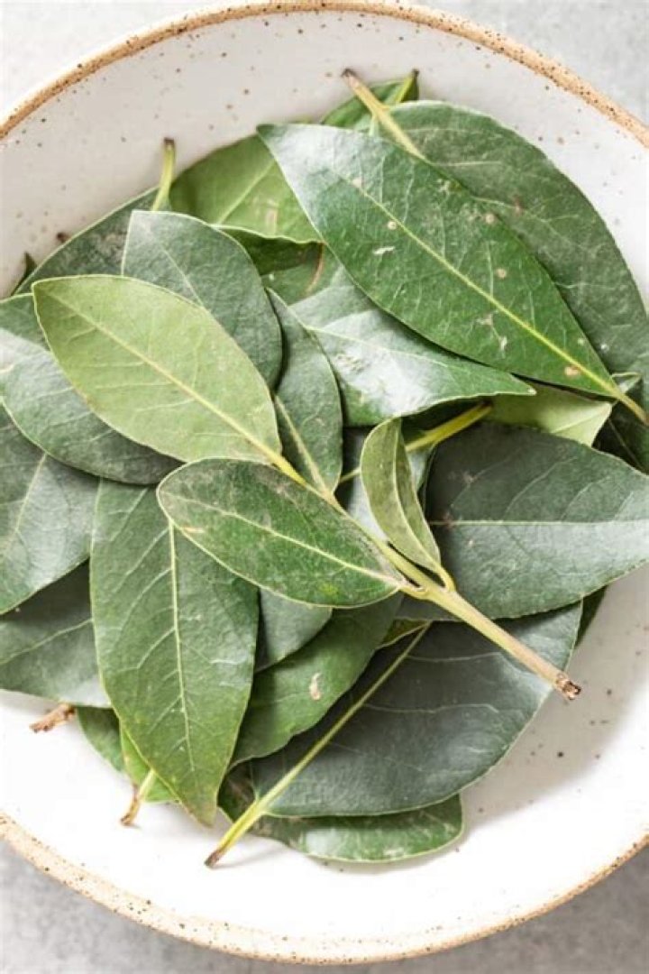 Can you substitute bay leaves for Sage?