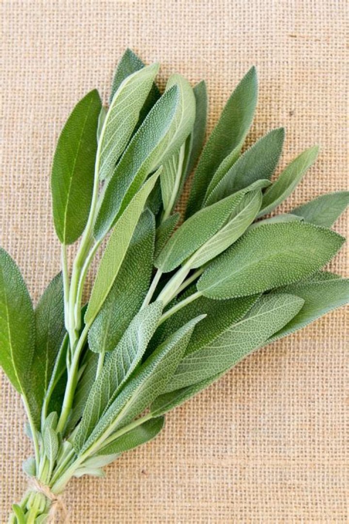 Can you substitute ground sage for fresh sage?