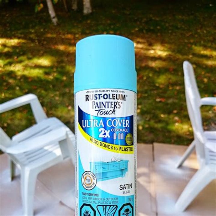 Can you use rustoleum on plastic?