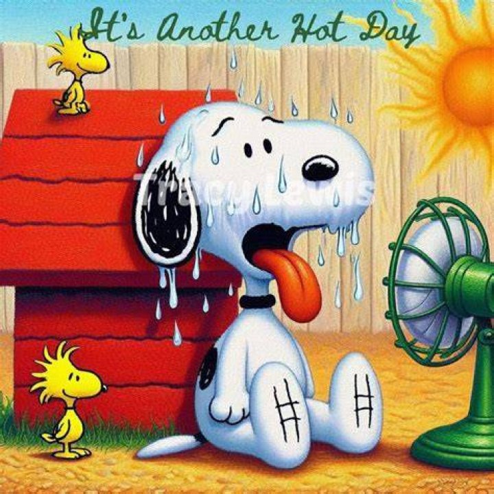 Can you wallpaper in hot weather?