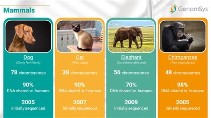 Could 2 Humans have some differences in their DNA sequences?