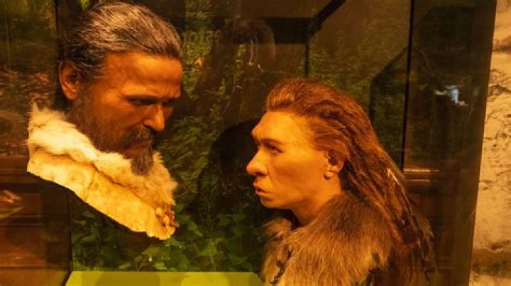 Could Neanderthals and humans mate?