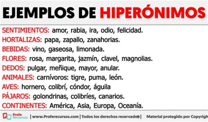 ¿Cuál es el Hiperonimo? | ContextResponse.com