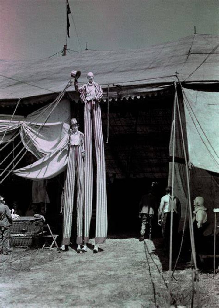 Do any circuses still exist?