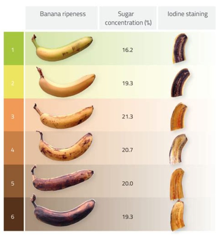 Do brown bananas have more sugar?