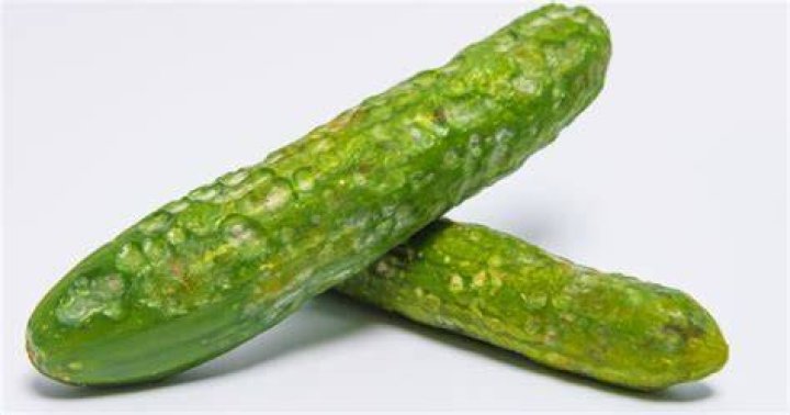 Do cucumbers have stems? | ContextResponse.com