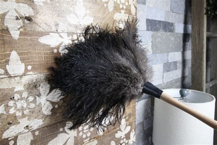 Do feather dusters work? | ContextResponse.com