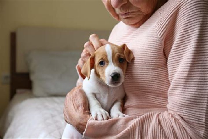 Do I have to pay pet rent for an emotional support animal?