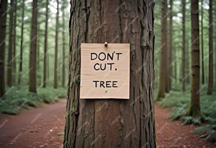 Do not cut trees slogans?