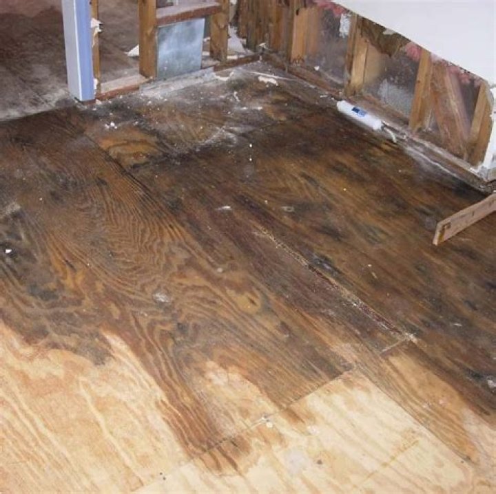 Do steam mops damage wood floors?