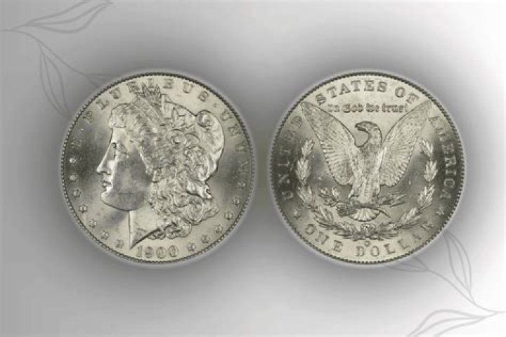 Do they still make dollar coins?
