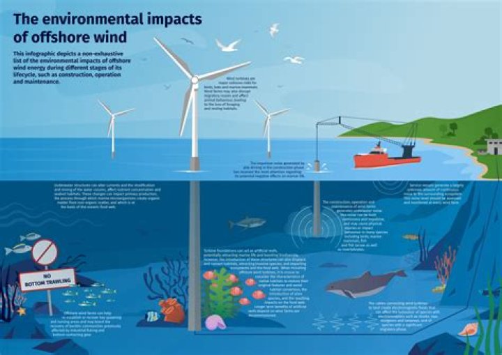 Do wind farms affect the environment?