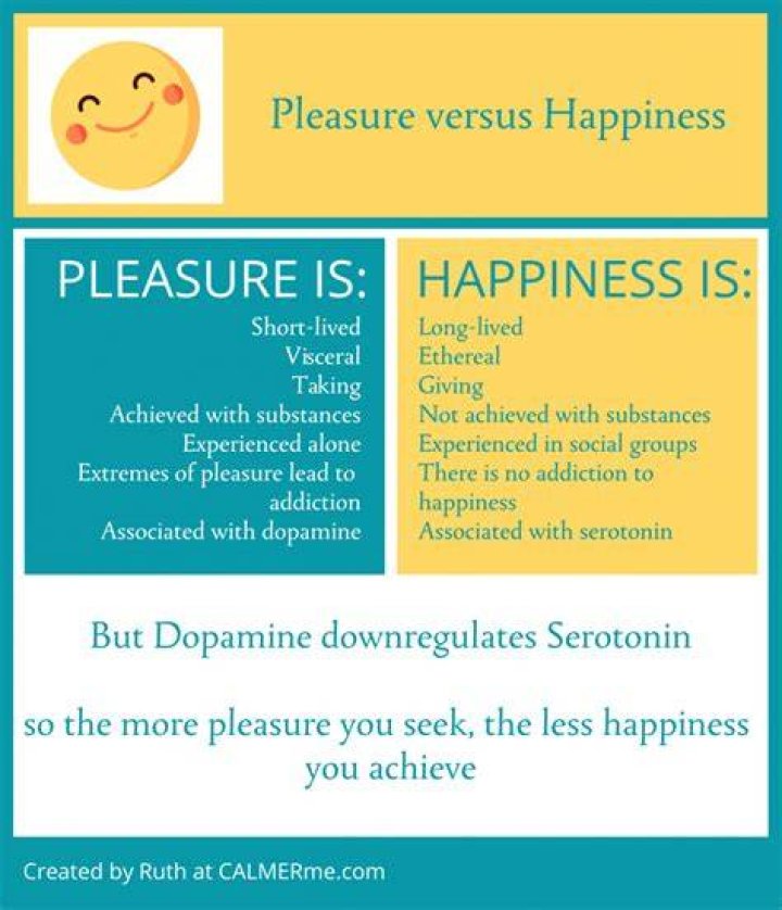 Do you agree that happiness is the pursuit of pleasure?