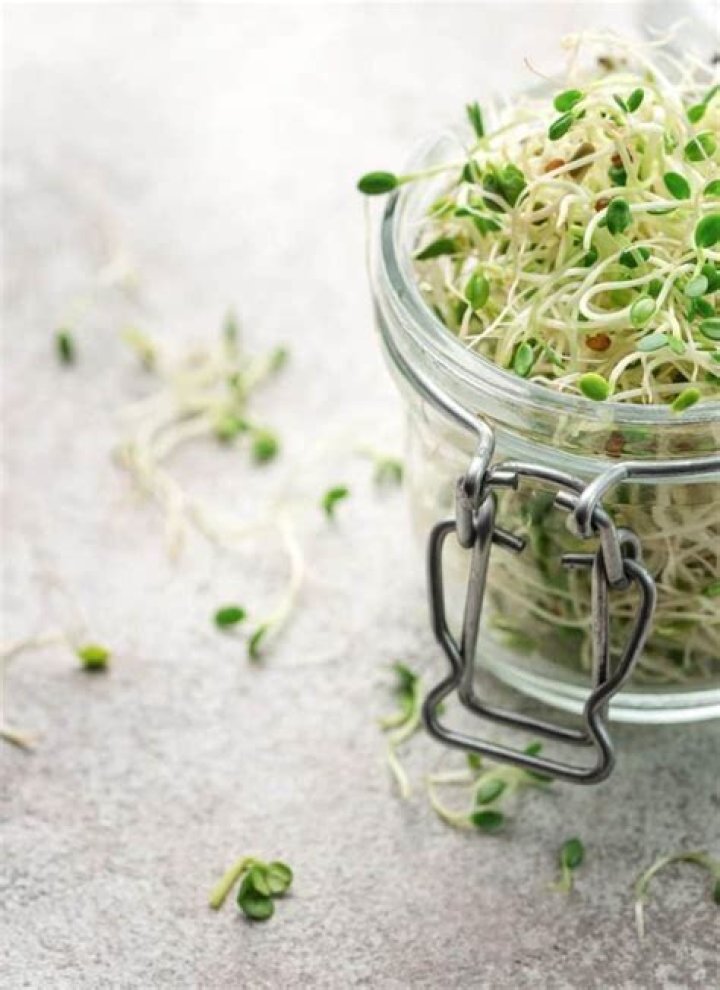 Do you need to wash sprouts?
