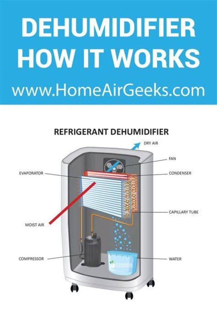 Does a dehumidifier help with damp?