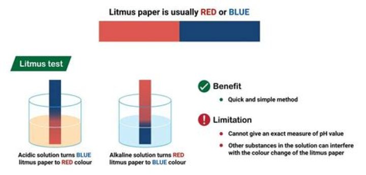 Does alcohol turn blue litmus paper red?
