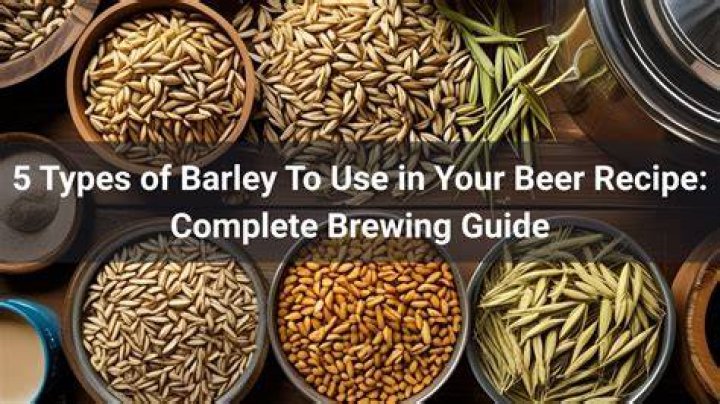 Does all beer use barley?