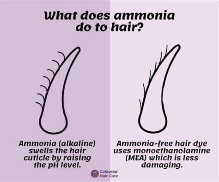 Does ammonia free hair dye lighten hair?