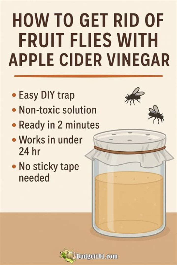 Does apple cider vinegar stop sweating?