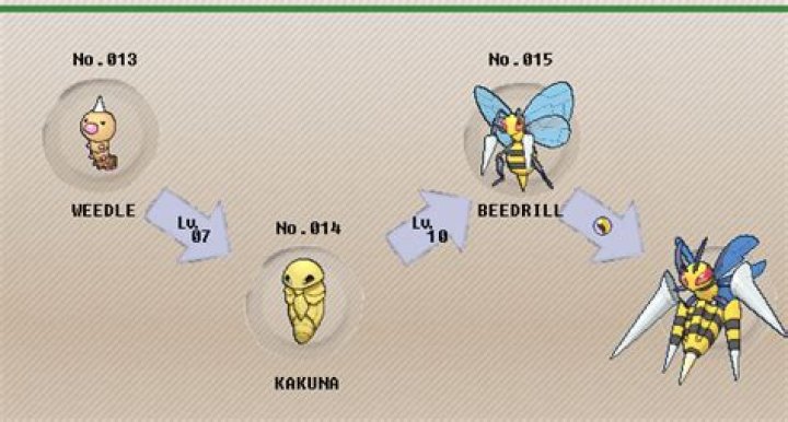 Does beedrill evolve?