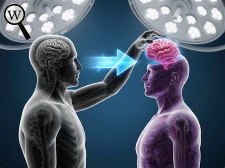 Does Brain Transplant change your personality?