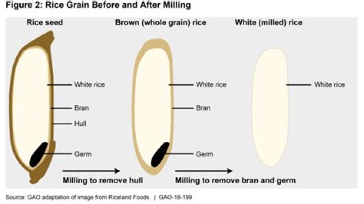 Does brown rice have arsenic?