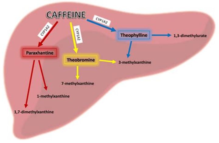 Does caffeine cause agitation?