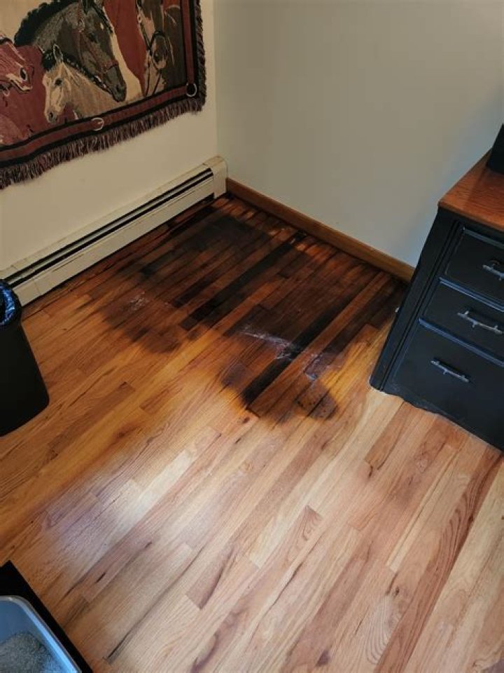Does cat urine ruin laminate?