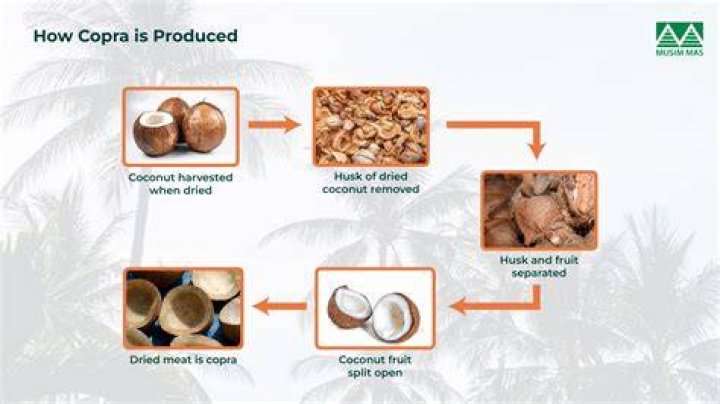 Does coconut oil have preservatives?