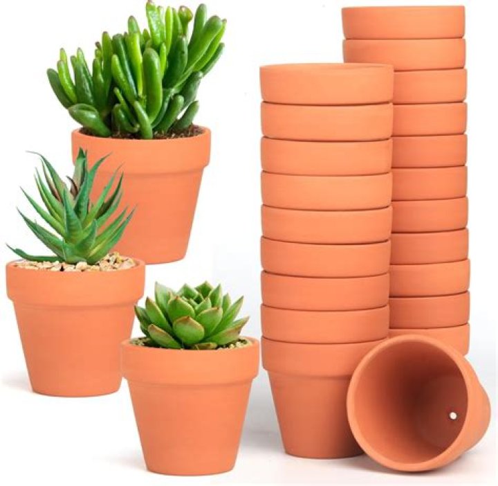Does Dollar Tree sell terracotta pots?