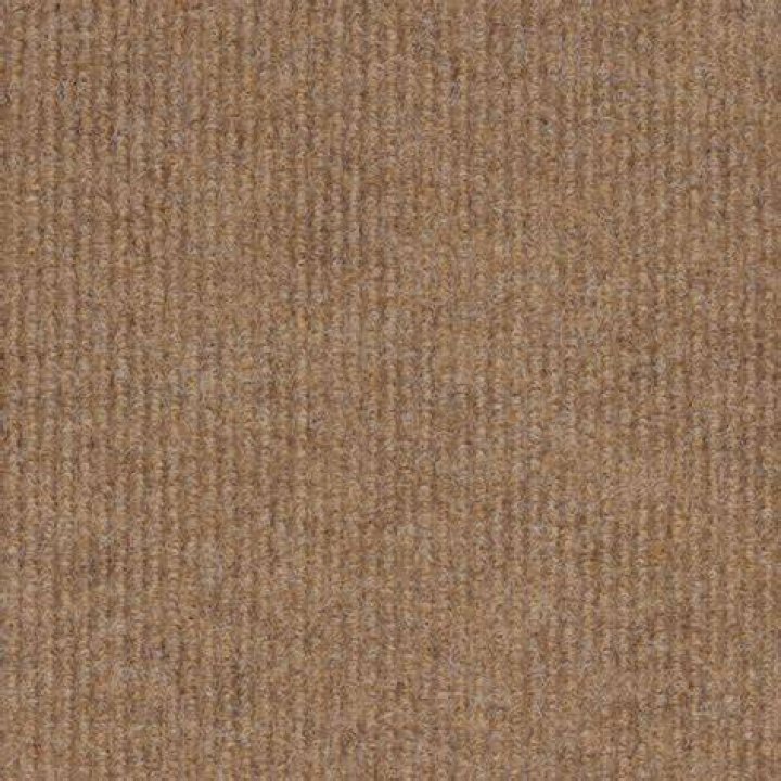 Does Home Depot sell indoor outdoor carpet?