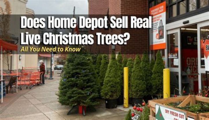 Does Home Depot sell real Christmas trees?