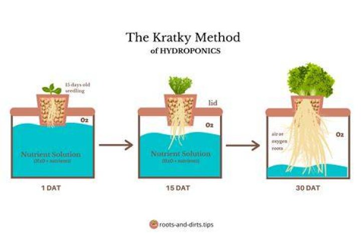 Does Hydro grow faster than soil?