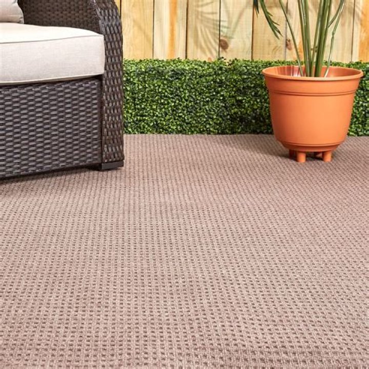 Does Lowes have indoor outdoor carpet?