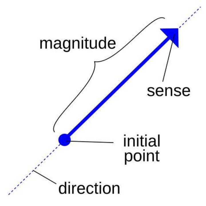 Does magnitude have direction? | ContextResponse.com